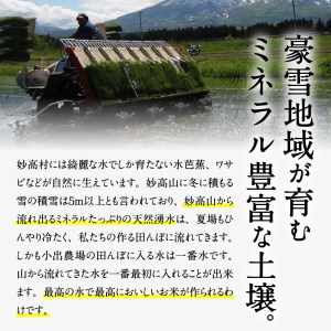 【2026年6月下旬発送】令和7年産 新潟県妙高産つきあかり10kg無洗米※沖縄県・離島配送不可