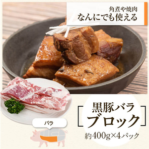 【B02102】鹿児島県産黒豚バラブロック(計約1.6kg・約400g×4P) 黒豚焼豚(約200g×2個) 鹿児島 国産 九州産 黒豚 豚肉 お肉 焼豚 叉焼 チャーシュー 肉加工品 豚バラ バラ肉 ブロック 贈答 ギフト【和田養豚】