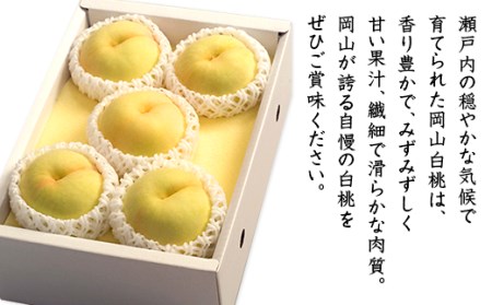 74-14 白桃5～7玉（夢白桃もしくは白麗）【2026年7月下旬～8月上旬発送予定】