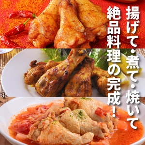 福袋 木城町 お肉いろいろお楽しみセットA K16_0069_3