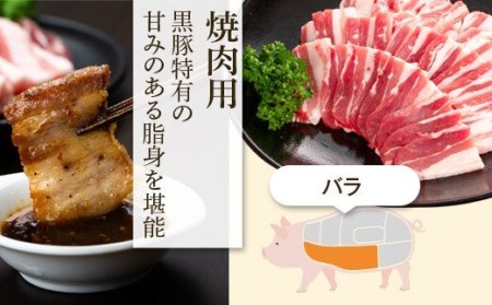 【C02045】特選黒豚セット(約2.4kg)黒豚バラ・肩ロース(しゃぶしゃぶ用)、モモスライス、バラカルビ(焼肉用)、ロース(とんかつ用)のセット 鹿児島 国産 九州産 黒豚 豚バラ 肩ロース ロース カルビ モモ スライス セット 焼肉 バーベキュー BBQ しゃぶしゃぶ すきやき 贈答 ギフト【和田養豚】