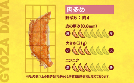 【龍門】　餃子20個入り×2箱