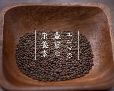 えごまパウダー 1個入り（THA えごまの斎藤）