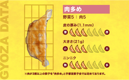 【満天家】餃子 24個入り×2箱【 ぎょうざ 冷凍餃子 冷凍食品 惣菜 栃木県 宇都宮市 】 ※離島への配送不可