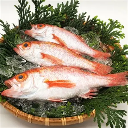 山陰沖　お刺身用あぶりノドグロ　2パック　高級魚 アカムツ　生食用【配送不可地域：離島】【1155814】