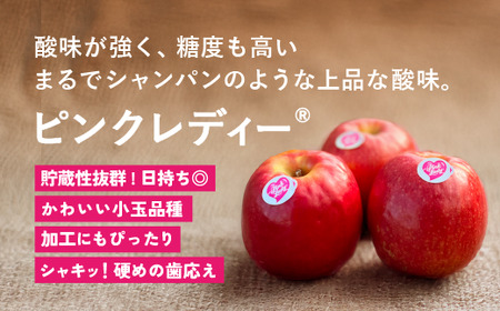  信州安曇野　 ピンクレディー® 　約5kg　（大）