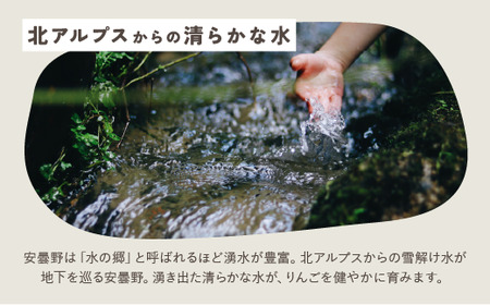 りんごジュースおまかせ６本セット