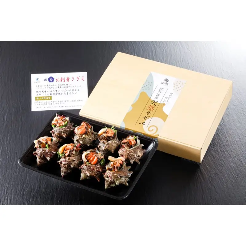 京丹後産さざえの刺身！サザエのお造り