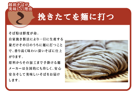 創業90余年の老舗・武生製麺　常温で長期保存できる「越前そば」20食
