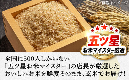 米 五ツ星お米マイスター厳選【玄米】エコ栽培米 恵の上意東産「コシヒカリ」10kg 島根県松江市/株式会社沼田米穀店[ALBU002] 米 米