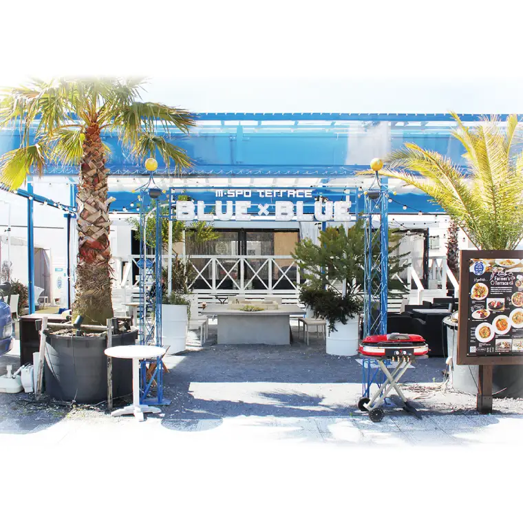 M-SPOTERRACE BLUE×BLUEお食事券5万円分 （BV-3）