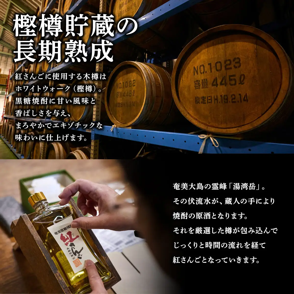 《黒糖焼酎》紅さんご 箱入り (720ml×2本)  40度 焼酎 お酒  人気 奄美大島 宇検村 鹿児島 奄美大島開運酒造