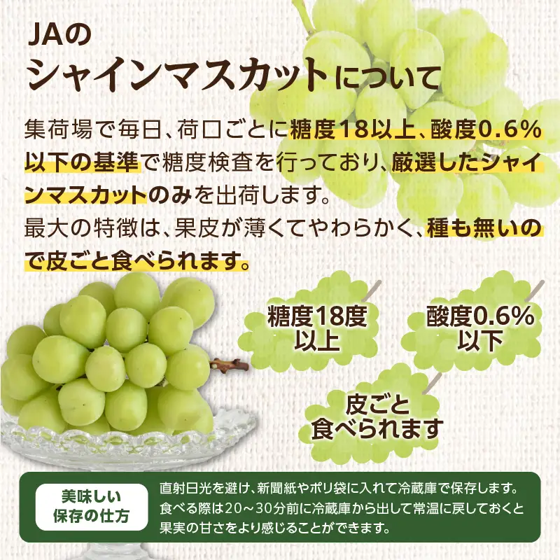 福岡人気のフルーツ定期便【全4回】ふるさと納税で人気のフルーツお届け便　JAふくおか八女からお届け！！ 梨 豊水 幸水 シャインマスカット みかん ミカン あまおう いちご 苺 イチゴ フルーツ 果物 くだもの 人気 旬 高糖度 甘い 福岡県産 アフター補償 数量限定 期間限定 産地直送 全4回 定期便 福岡県 八女市 002-T003
