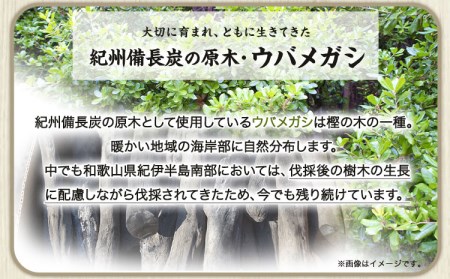 備長炭の木酢液 1000ml×10本 炭 園芸 消臭