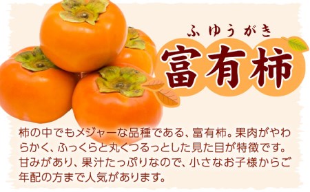 ご家庭用 九度山の富有柿 約7.5kg 柿