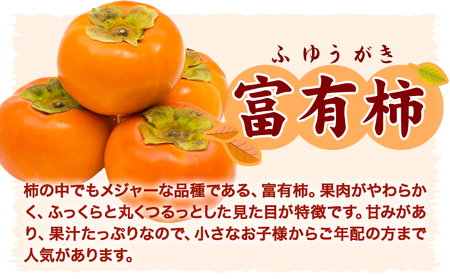 甘柿の王様 富有柿 秀品 約7.5kg 