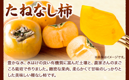 ご家庭用 和歌山産 たねなし柿 約7.5kg 柿