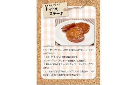 【先行受付】2027年1月～6月毎月発送　プレミアムフルーツトマトの定期便　6回コース 長田農園 産地直送 トマト とまと 野菜 やさい フルーツ サラダ 濃厚 甘い ご褒美 プレゼント 美容 健康 リピート多数 人気 高評価 数量限定 碧南市 H004-204