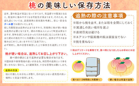 桃 秀選品 約4kg 桃