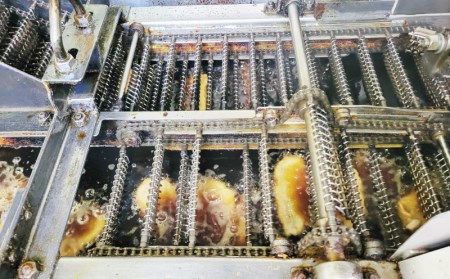 練物 宇和島じゃこ天 じゃこ天 15枚 薬師神かまぼこ 練物 C012-019001