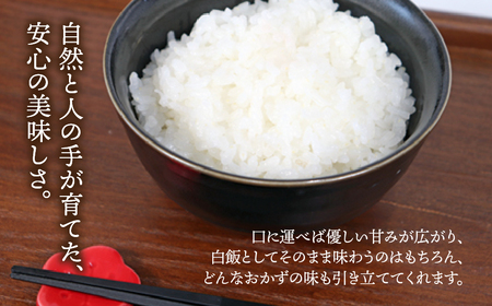 《１２か月定期便》《令和7年産》岐阜県産 コシヒカリ（精米） 30kg(5kg×6回） | 垂井町産 米 白米 冷めても美味しい米 ブランド米 高品質 安心 安全 リピーター多数 贈答用 贈り物 ギフト プレゼント おしゃれ 人気 T rice Store