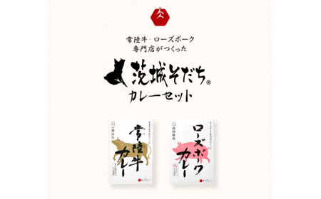 カレー レトルト 茨城そだちカレーセット 6食入り 常陸牛カレー＆ローズポークカレー 各3個 食品 ビーフカレー 国産牛 黒毛和牛 父の日 お取り寄せ お祝い 内祝い 出産 結婚 快気祝いプレゼント 誕生日 ギフト対応  茨城県 水戸市 肉のイイジマ （DU-84）