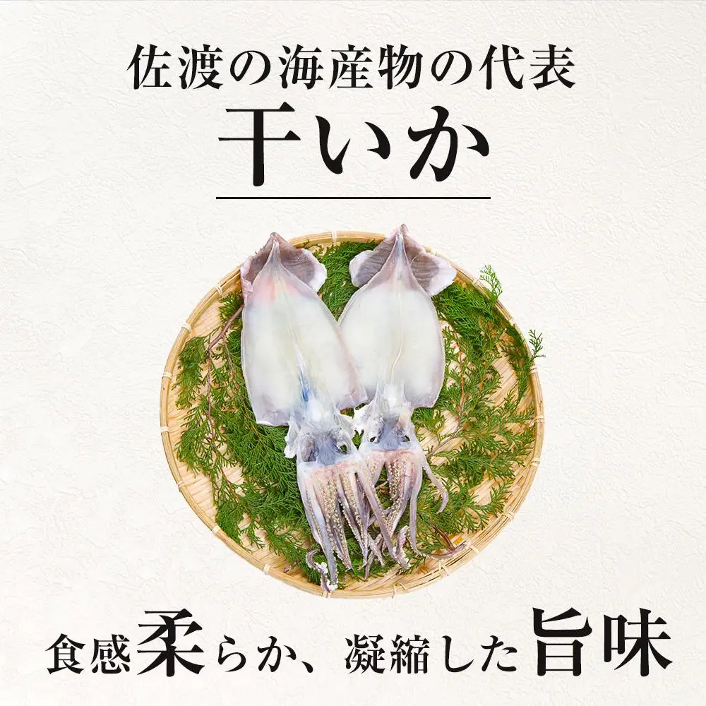干物イカ 佐渡産 4枚 ( 1袋2枚 × 2 ) イカ