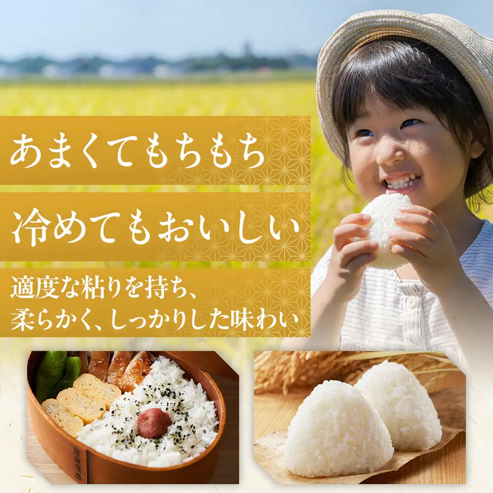 新潟米物語佐渡産コシヒカリ（10kg（5kg×2））