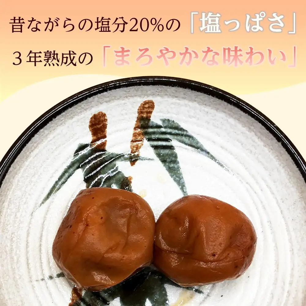 昔ながらの塩っぱい梅干　10パック