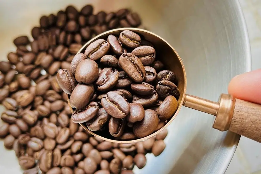 ＜やくしまロースター＞ドリップバッグ コーヒー5種類×4袋 計20袋