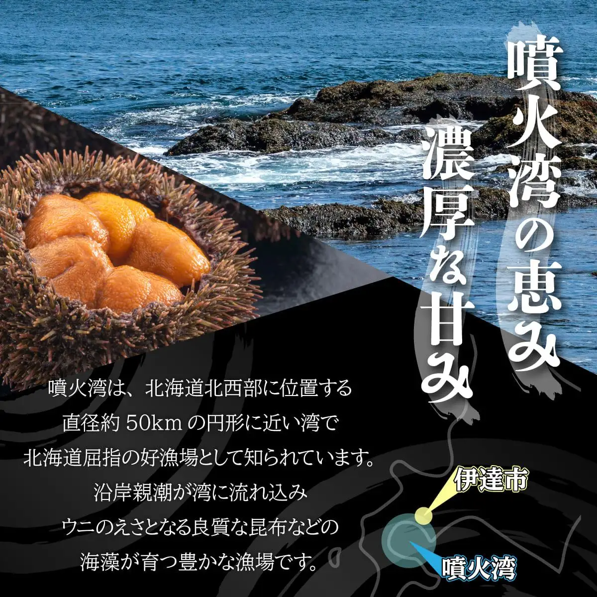 訳あり バフンウニ 100g 1パック