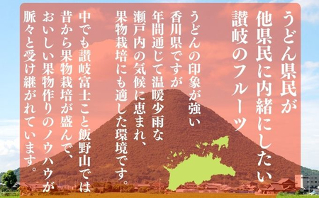 【2026年6月下旬より発送】  桃 特秀品 約4kg 12～16玉 桃 もも