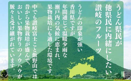 【全3回】フルーツ定期便 夏のいいとこどり フルーツ 定期便
