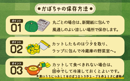 【2026年9月以降順次発送】【訳あり】北海道 豊浦産 かぼちゃ 味平 約10kg 5～7玉入り 