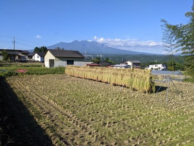 【令和7年度米】白州米 亀の尾『白米』3kg 農薬不使用 化学肥料不使用 天日干し 幻 希少 低タンパク 山梨県 北杜市 [h208]