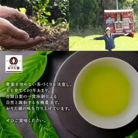 お徳用抹茶入知覧茶ティーバッグ100個入り2セット【1186080】