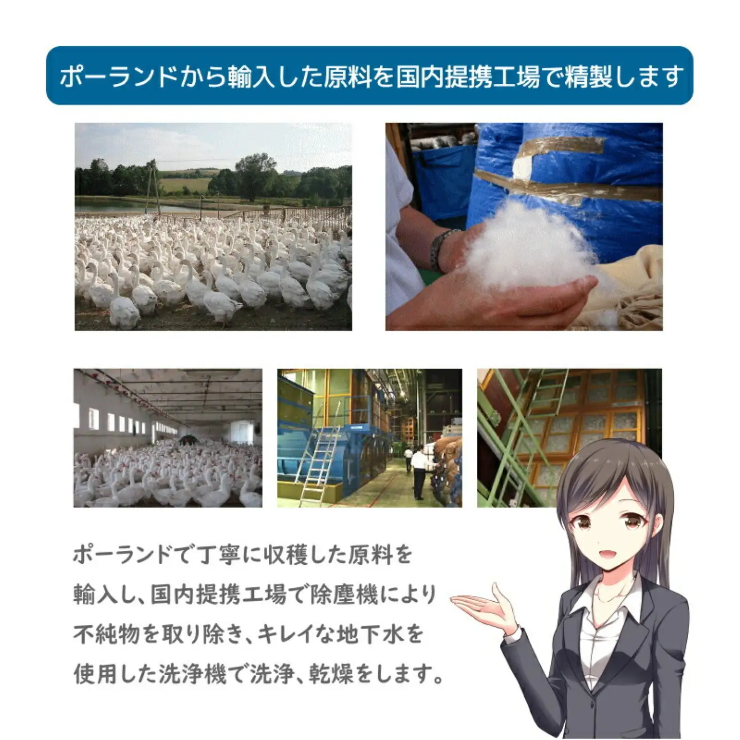 セミダブル【プレミアムゴールドラベル】コウダ種ポーランドマザーグース95%羽毛【新津】｜ 肌掛け
