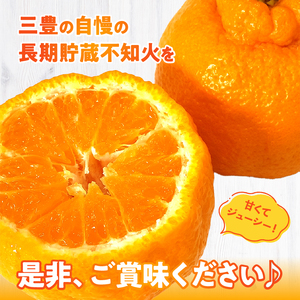 数量限定【5月以降出荷】夏季まで美味しさを保つ、長期貯蔵「不知火」約5kg