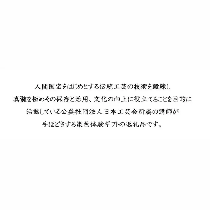 型友禅染色体験　ペア ／ チケット 伝統工芸 バッグ 埼玉県