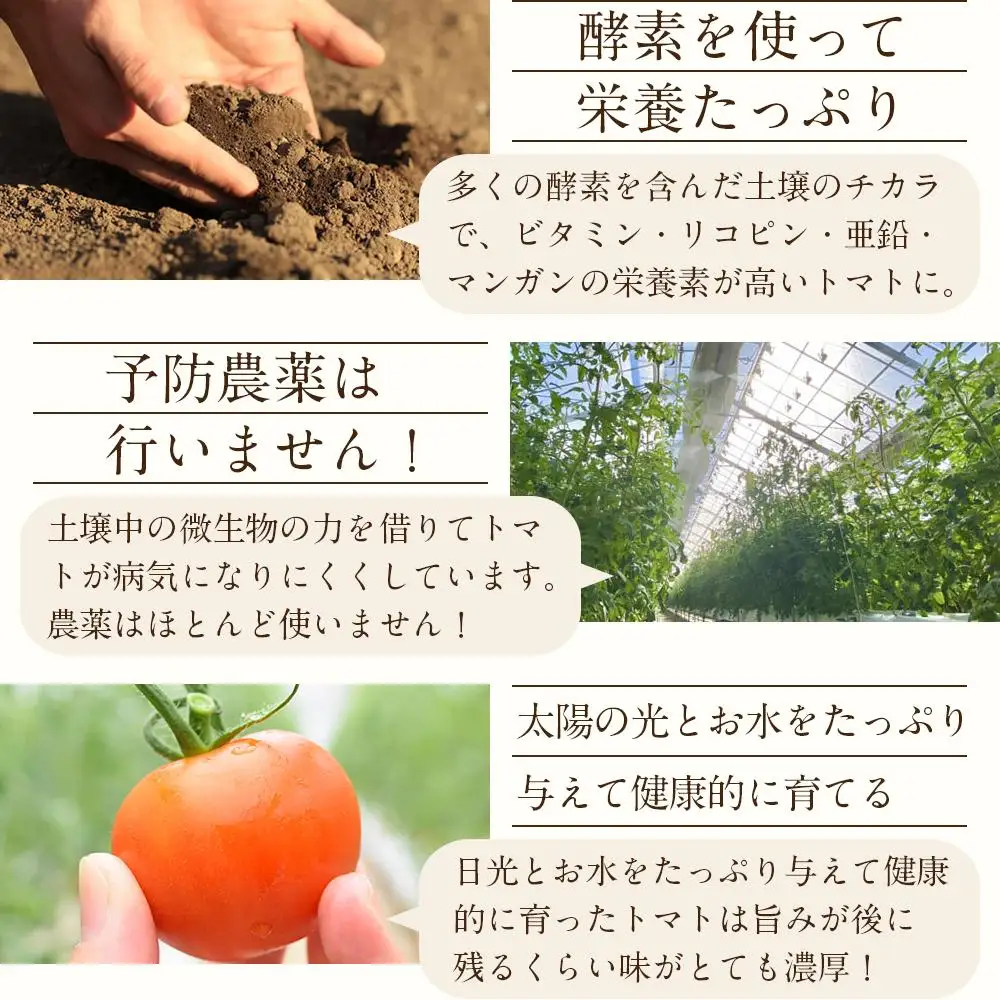 トマトジュース3本セット【プレミアムトマト、トマト】 ／ プレミアムトマトジュース とまと 野菜 埼玉県