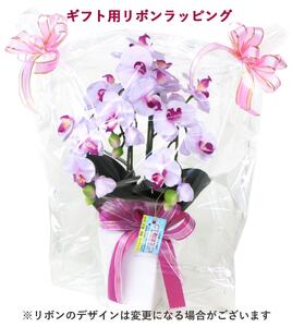 01 造花 シルクフラワーのミニ胡蝶蘭の鉢植 3本立 CT触媒 ライトパープル ／ お花 コチョウラン 埼玉県