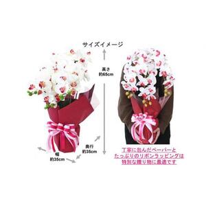 造花 シルクフラワーの胡蝶蘭の鉢植 3本立 CT触媒 ライトパープル ／ お花 コチョウラン 埼玉県