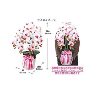 造花 シルクフラワーの胡蝶蘭の鉢植 5本立 CT触媒 ホワイトイエロー ／ お花 コチョウラン 埼玉県