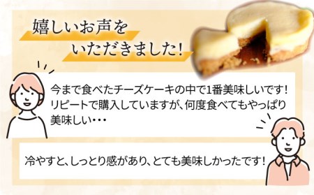 【全6回定期便】無添加チーズのいとしまチーズケーキ【10個入り】 糸島市 / 糸島手作り工房 爽風 [ATA009]