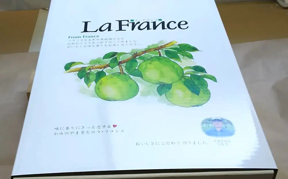 西洋梨（ラ・フランス）３ｋｇ　大玉　0017-2617