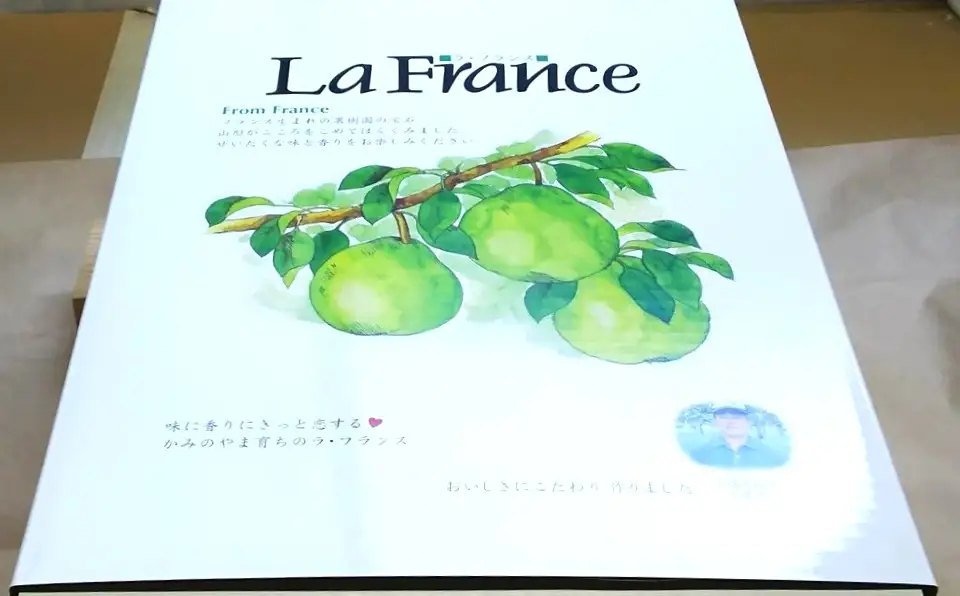 西洋梨（ラ・フランス）３ｋｇ×２箱　大玉　0017-2620