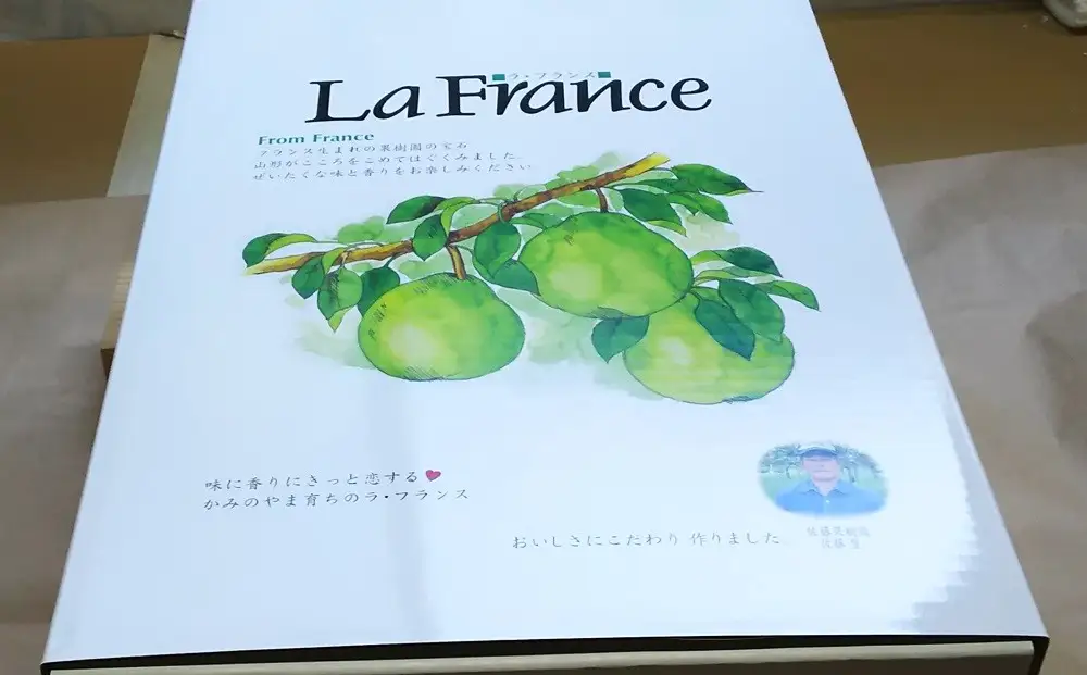 西洋梨（ラ・フランス）３ｋｇ以上　７Ｌサイズ　0017-2618