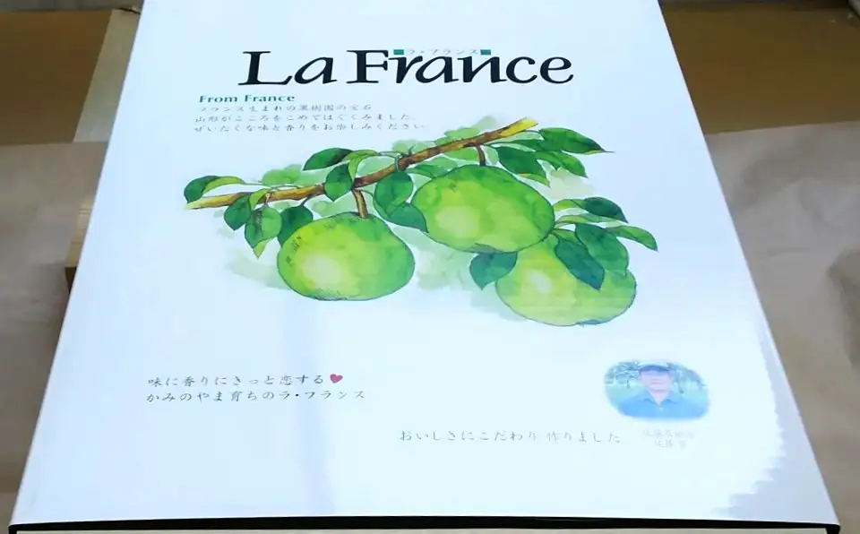西洋梨（ラ・フランス）３ｋｇ以上×２箱　７Ｌサイズ　0017-2621