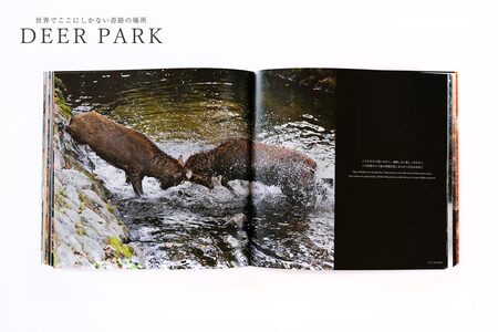 奈良の鹿 写真集「DEER PARK 世界でここにしかない奇跡の場所」奈良公園 サイン入り KAZUTO PHOTO OFFICE 佐藤和斗 I-193