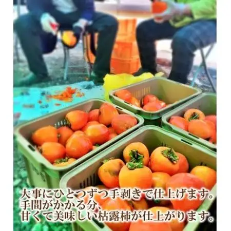 【農福連携】おひさまたっぷり手作り枯露柿(ころ柿)(1箱12個入)12月から発送!【山梨市産干し柿】【1271104】